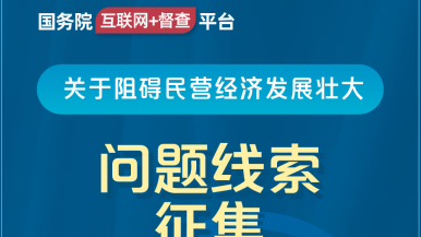 操操大B国务院“互联网+督查”平台公开征集阻碍民营经济发展壮大问题线索